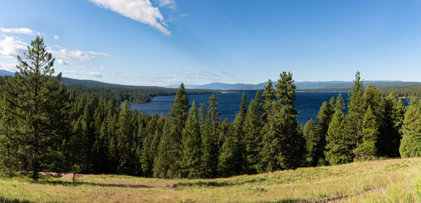 McCall